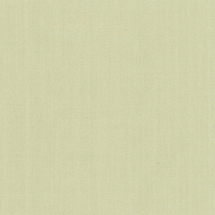 Tempt Peridot by Carole Fabric Royale 100% IFR Polyester India Passes 45,000 Double Rubs Wyzenbeek Horizontal: 0 and Vertical: 0 54 - Fabric Carolina -
