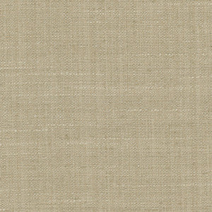 The Reason Is Biscuit by Carole Fabric