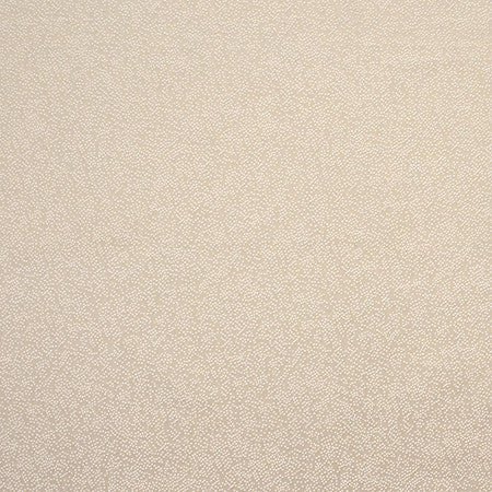Gravel Path Parchment by Carole Fabric State Of The Art 100% Polyester INDIA  None 54"  - Fabric Carolina -