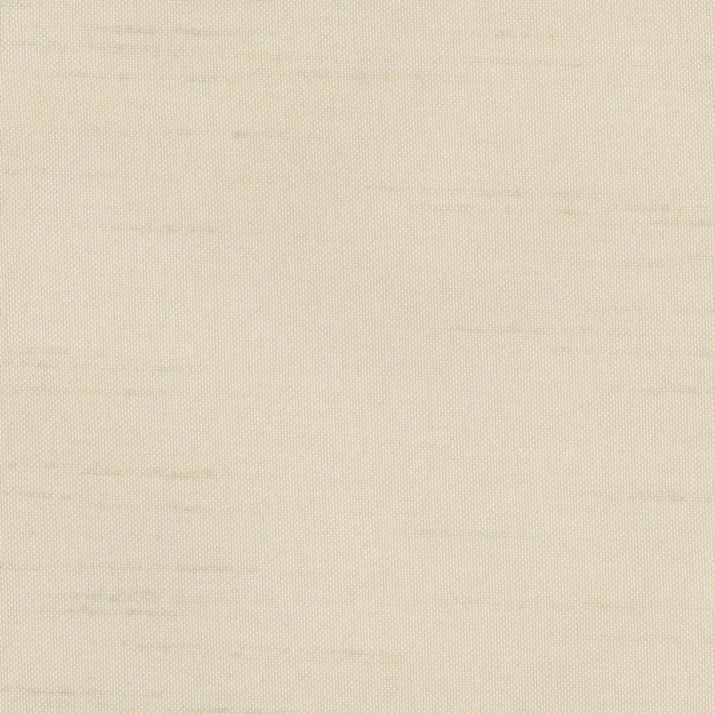 Fleeting Oyster by Carole Fabric Royale 100% Polyester India Passes 50,000 Double Rubs Wyzenbeek Horizontal: 0 and Vertical: 0 54 - Fabric Carolina -