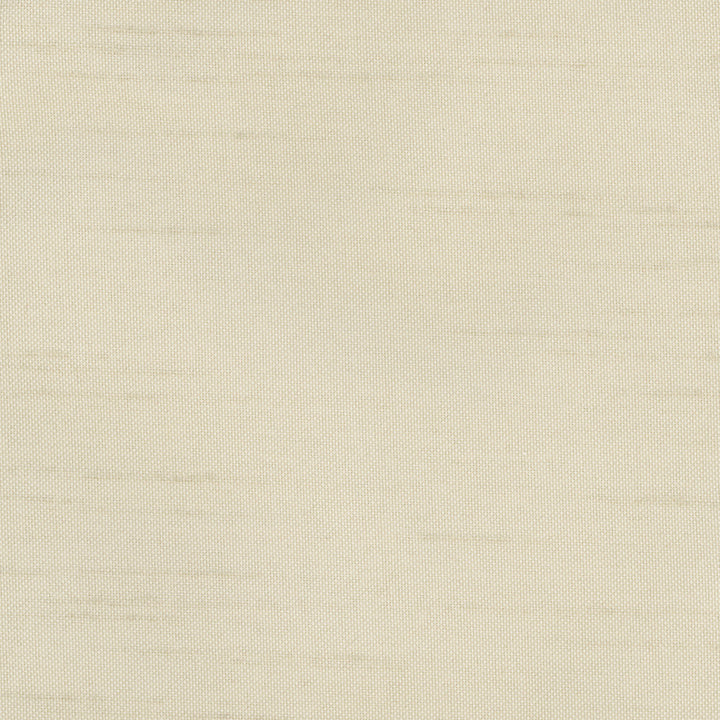 Fleeting Oyster by Carole Fabric Royale 100% Polyester India Passes 50,000 Double Rubs Wyzenbeek Horizontal: 0 and Vertical: 0 54 - Fabric Carolina -