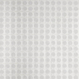 Apogee Grey by Carole Fabric