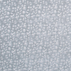 Sleeping Bear Silver by Carole Fabric