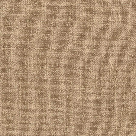 Enthusiasm Toffee by Carole Fabric Sunbaked 100% Polyester INDIA N/A None 54"  - Fabric Carolina -