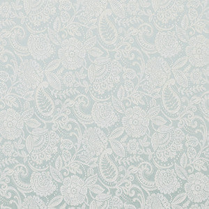 Achievement Serenity by Carole Fabric