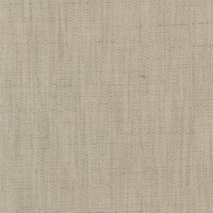 Photo Finish Putty by Carole Fabric
