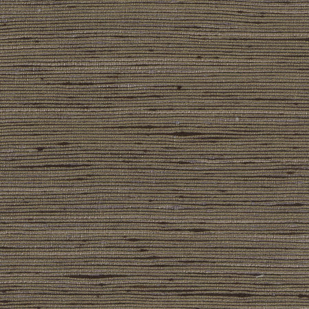 Absolution Charcoal by Carole Fabric Synchrony 100% Polyester IFR Hybrid India  None 54"  - Fabric Carolina -
