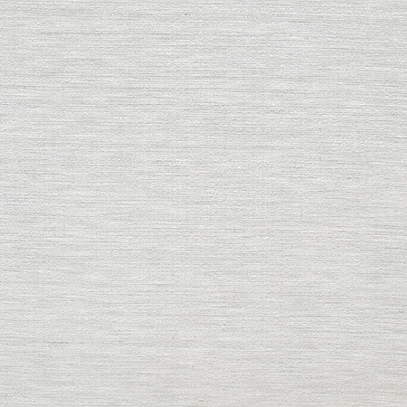 Sensational Shark by Carole Designer Fabric Best Dressed 100% Polyester N/A None 54" - Swanky Fabrics -