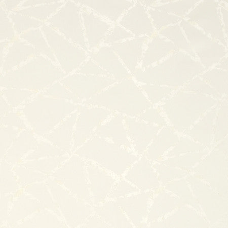 Into Focus Alabaster by Carole Fabric State Of The Art 100% Polyester CHINA 15,000 Wyzenbeek Double Rubs 16 3/8" V, 14 3/8" H 55"  - Fabric Carolina -