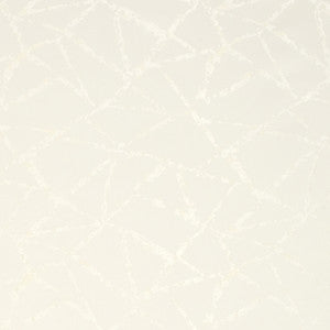 Into Focus Alabaster by Carole Fabric