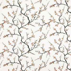 Find The Beauty Blush by Carole Fabric