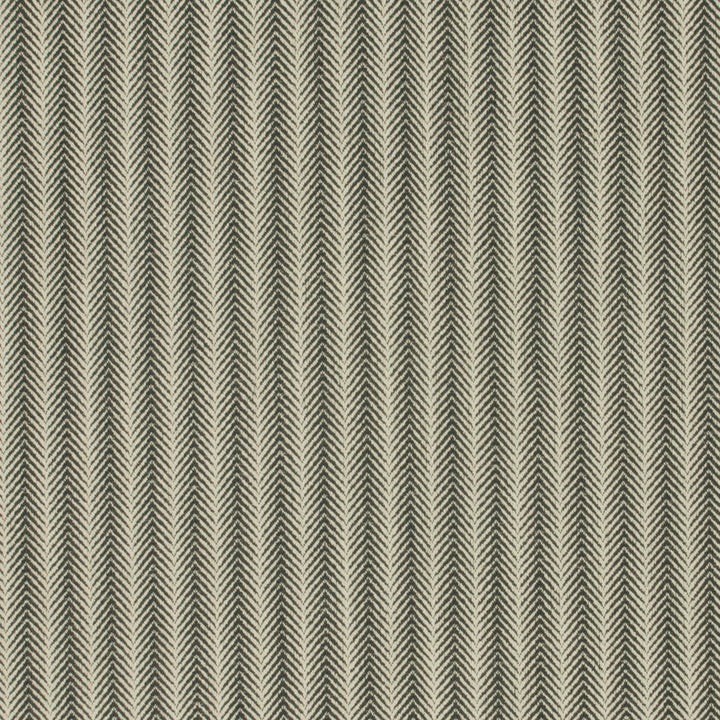 Citiscape Charcoal by Carole Fabric Park Cities 100% Polyester China Passes 15,000 Double Rubs Wyzenbeek Horizontal: 1 and Vertical: 25 56 - Fabric Carolina -