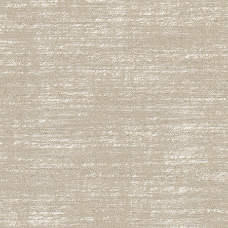 Theo Champagne by Carole Fabric Let's Mingle 60% Polyester, 40% Cotton India  None 54"  - Fabric Carolina -