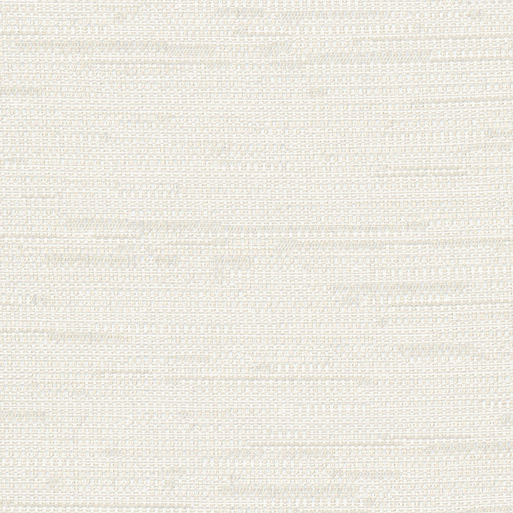 Cliff Top Alabaster by Carole Fabric Excursion 66% Polyester, 34% Cotton India 36,000 Wyzenbeek Double Rubs Horizontal: 0 and Vertical: 0 56 - Fabric Carolina -
