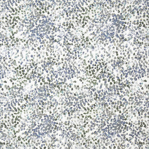 Its A Party Denim by Carole Fabric