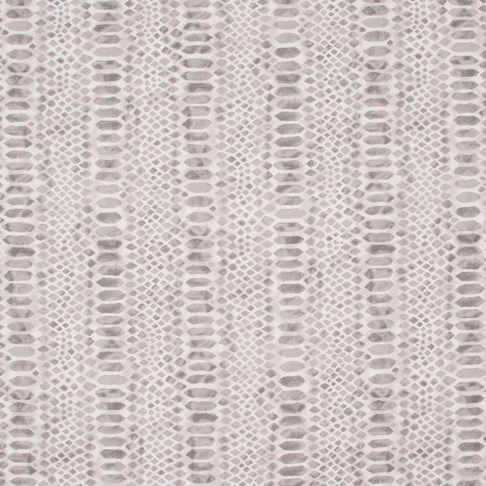 Constrictor Pewter by Carole Fabric Jungle Safari 100% Cotton Spain Passes 16,000 Circular Rubs Martindale Horizontal: 27 and Vertical: 25 54 - Fabric Carolina -