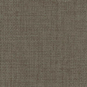 Director's Cut Ash by Carole Fabric