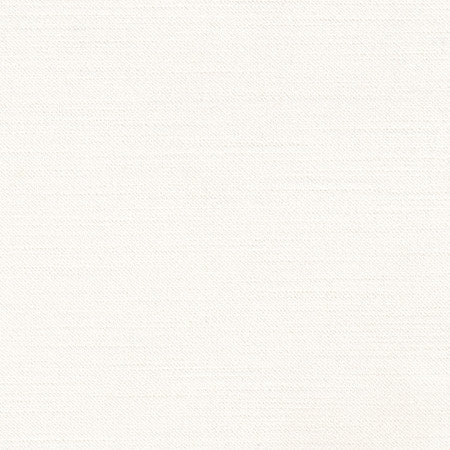Regal Touch Cream by Carole Fabric Touch Of Luxury 100% Polyester Turkey 15,000 Wyzenbeek Double Rubs None 55"  - Fabric Carolina -