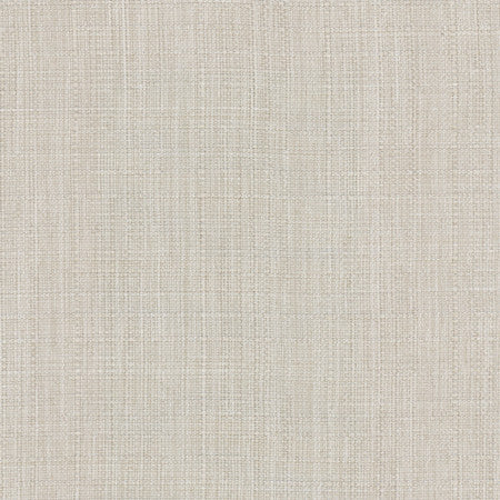 Intention Zinc by Carole Fabric Head Start 100% Polyester Taiwan  None 54"  - Fabric Carolina -