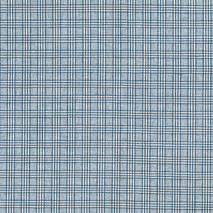 Newsworthy Water by Carole Fabric