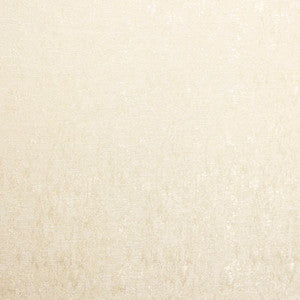 Deep Sleep Ivory by Carole Fabric