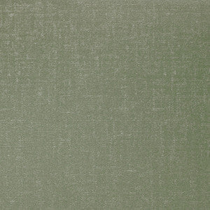 Swagger Aloe by Carole Fabric