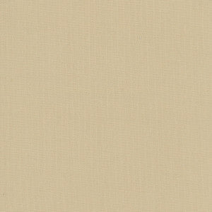 Daydreamer Sandstone by Carole Fabric