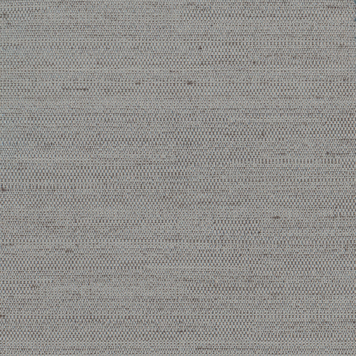 Aiden Viridian Grey by Carole Fabric Pewter 100% Polyester India N/A Horizontal: 0 and Vertical: 0 54 - Fabric Carolina -