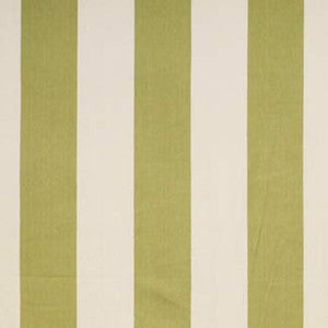 Topside Kiwi by Carole Fabric