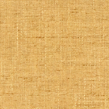 Committee Meeting Sunny by Carole Fabric Power Play 100% Polyester N/A None 55" - Fabric Carolina -