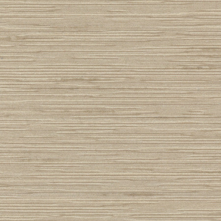 Optimism Fog by Carole Fabric Synchrony 100% IFR Polyester India  None 54"  - Fabric Carolina -