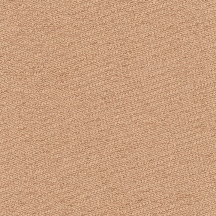 Fact Finder Peach by Carole Fabric Scarlet 100% Polyester Turkey Passes 40,000 Double Rubs Wyzenbeek Horizontal: 0 and Vertical: 0 59 - Fabric Carolina -