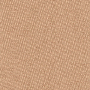 Fact Finder Peach by Carole Fabric