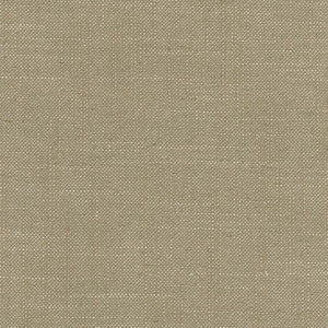 Mailbox Pumice by Carole Fabric