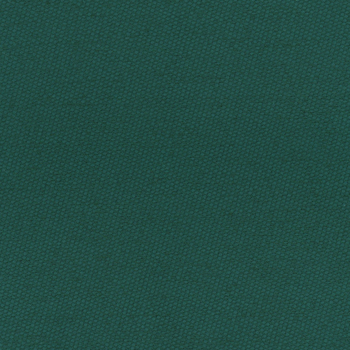 Fact Finder Pine by Carole Designer Fabric Celadon 100% Polyester Turkey Passes 40,000 Double Rubs Wyzenbeek Horizontal: 0 and Vertical: 0 59 - Swanky Fabrics -