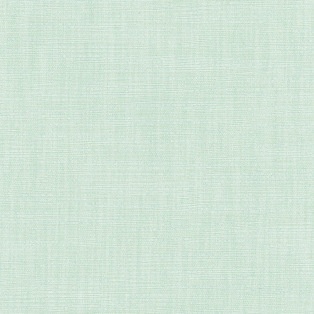 Athlete Seafoam by Carole Fabric Celadon 60% Cotton, 40% Polyester India  None 55"  - Fabric Carolina -