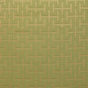 Lionel Lime by Carole Fabric