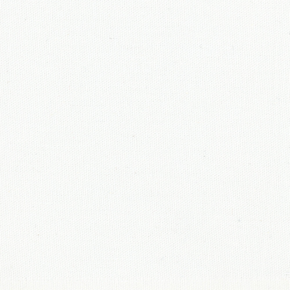Dreamy White by Carole Fabric Daydreaming 100% Cotton- Soil Release USA Passes 30,000 Double Rubs Wyzenbeek Horizontal: 0 and Vertical: 0 54 - Fabric Carolina -