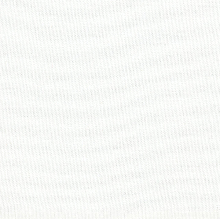 Dreamy White by Carole Fabric Daydreaming 100% Cotton- Soil Release USA Passes 30,000 Double Rubs Wyzenbeek Horizontal: 0 and Vertical: 0 54 - Fabric Carolina -