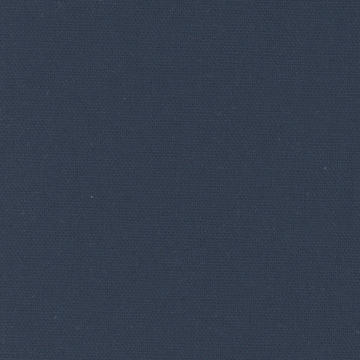 Daydreamer Navy by Carole Fabric Daydreaming 100% Cotton- Soil Release USA Passes 30,000 Double Rubs Wyzenbeek Horizontal: 0 and Vertical: 0 54 - Fabric Carolina -