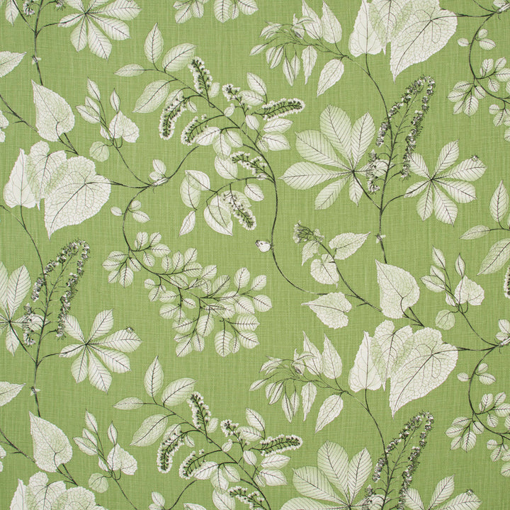 Belong Together Grass by Carole Fabric Lemongrass 100% Cotton-SSR Printed & Finished in USA Passes 15,000 Double Rubs Wyzenbeek Horizontal: 27 and Vertical: 27 54 - Fabric Carolina -