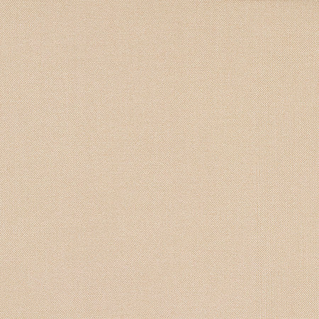 Reform Latte by Carole Fabric Reclamation 100% Recycled Polyester 50,000 Wyzenbeek Double Rubs None 54" - Fabric Carolina -