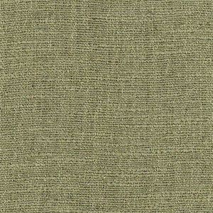 Warden Fern by Carole Fabric