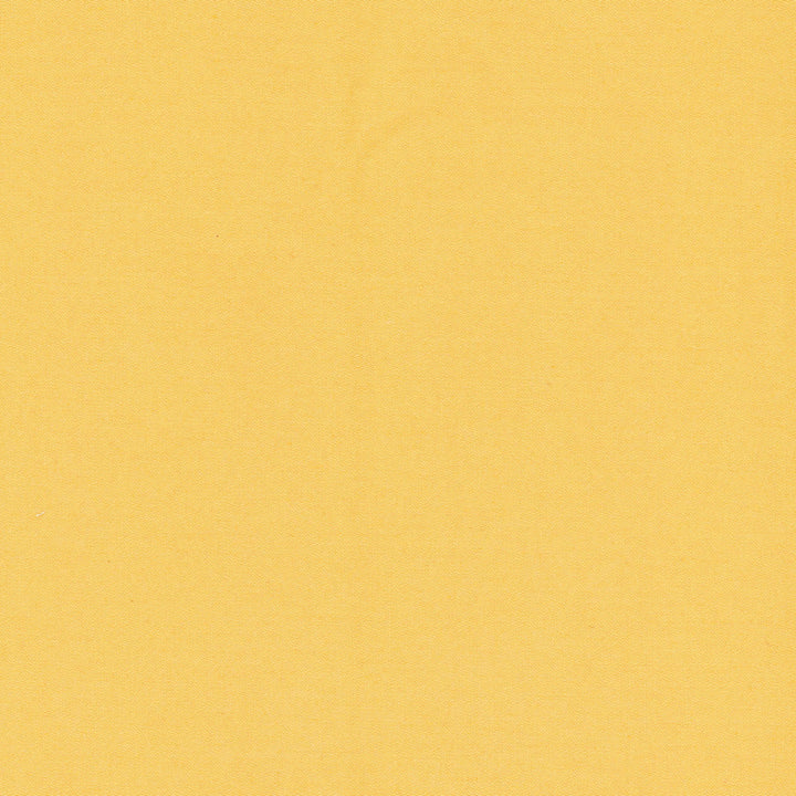 Comfort Dandelion by Carole Fabric Daydreaming 100% Cotton India Passes 21,000 Double Rubs Wyzenbeek Horizontal: 0 and Vertical: 0 54 - Fabric Carolina -