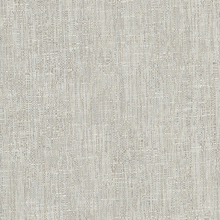 Hard Knocks Seagull by Carole Fabric Pewter 69% Polyester, 31% Cotton India Passes 30,000 Double Rubs Wyzenbeek Horizontal: 0 and Vertical: 0 555 - Fabric Carolina -