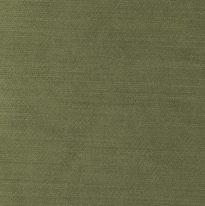 Cool Touch Homegrown by Carole Fabric Touch Of Luxury 100% Polyester Turkey 50,000 Wyzenbeek Double Rubs Horizontal: 0 and Vertical: 0 54 - Fabric Carolina -