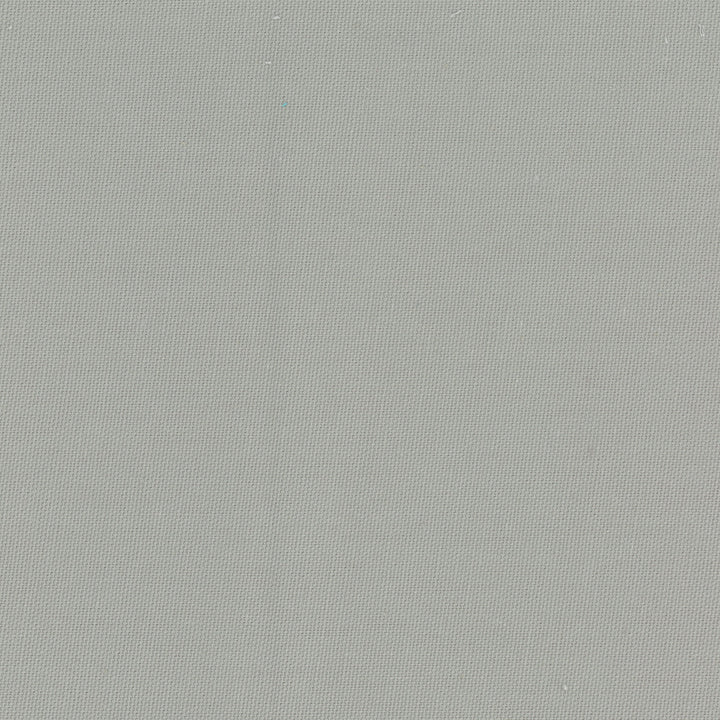 Daydreamer Dove by Carole Fabric Daydreaming 100% Cotton- Soil Release USA Passes 30,000 Double Rubs Wyzenbeek Horizontal: 0 and Vertical: 0 54 - Fabric Carolina -