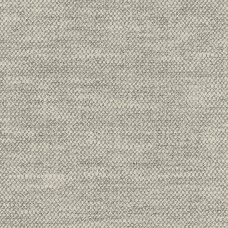 Overacting Gravel by Carole Fabric Pewter 72% Polyester, 28% Cotton India N/A None 55"  - Fabric Carolina -