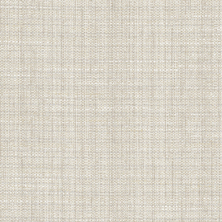 Rock Wall Fog by Carole Designer Fabric Opal 83% Polyester, 12% Cotton, 5% Rayon India N/A Horizontal: 0 and Vertical: 0 55 - Swanky Fabrics -