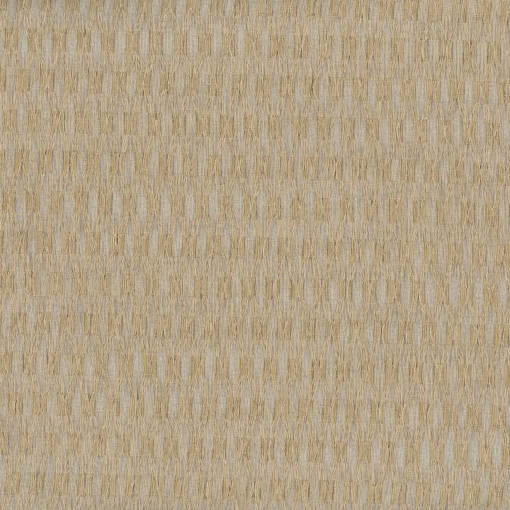 Light It Up Old Gold by Carole Fabric Sheer Divine 100% Polyester Turkey N/A Horizontal: 5 and Vertical: 125 118 - Fabric Carolina -